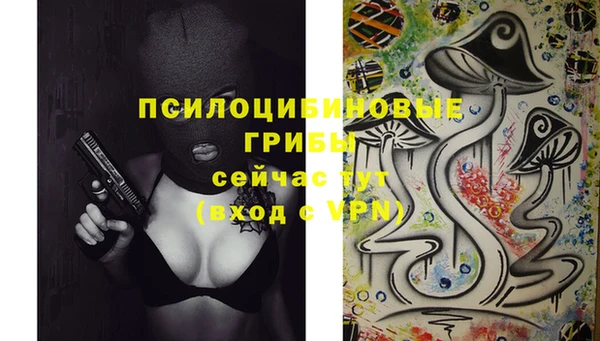 эйфоретик Армянск