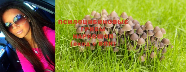 гидра Белоозёрский